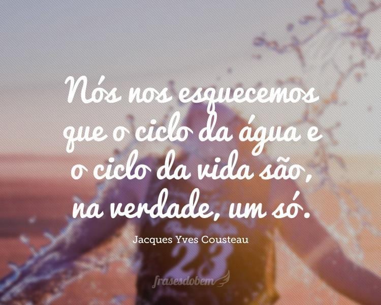 Nós nos esquecemos que o ciclo da água e o ciclo da vida são, na verdade, um só.