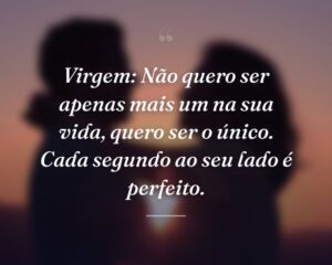 Virgem: Não quero ser apenas mais um na sua vida, quero ser o único. Cada segundo ao seu lado é perfeito.
