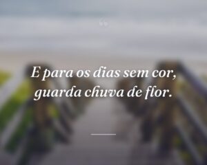 E para os dias sem cor, guarda chuva de flor.
