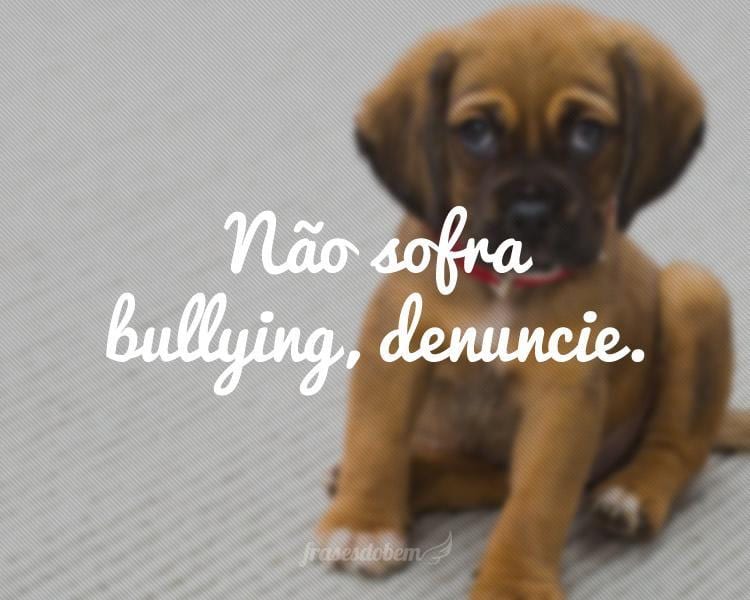 Não sofra bullying, denuncie.