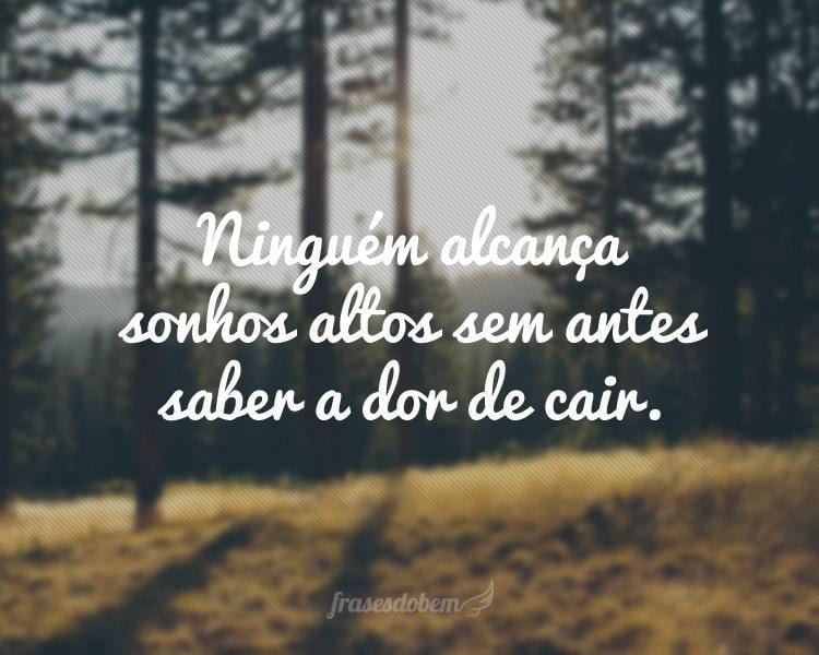 Ninguém alcança sonhos altos sem antes saber a dor de cair.
