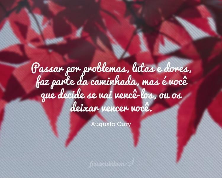 Passar por problemas, lutas e dores, faz parte da caminhada, mas é você que decide se vai vencê-los, ou os deixar vencer você.