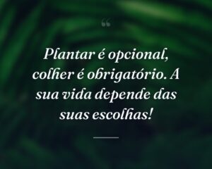 Plantar é opcional, colher é obrigatório. A sua vida depende das suas escolhas!