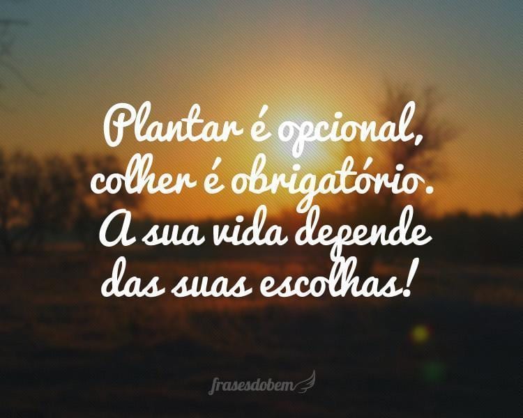 Plantar é opcional, colher é obrigatório. A sua vida depende das suas escolhas!