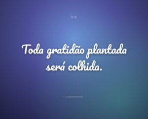 Toda gratidão plantada será colhida.