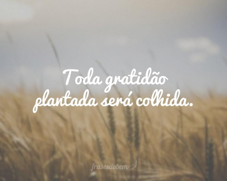 Toda gratidão plantada será colhida.