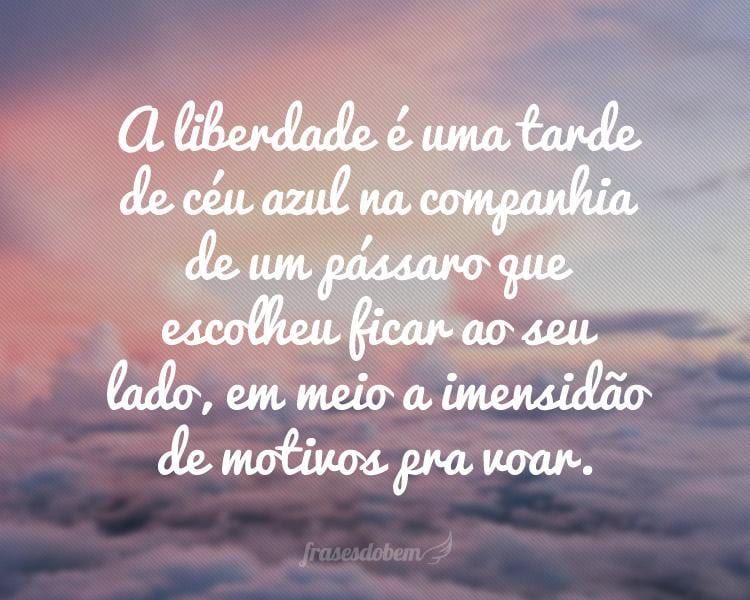 A liberdade é uma tarde de céu azul na companhia de um pássaro que escolheu ficar ao seu lado, em meio a imensidão de motivos pra voar.