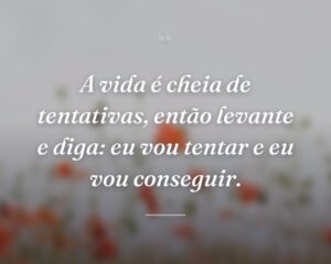A vida é cheia de tentativas, então levante e diga: eu vou tentar e eu vou conseguir.