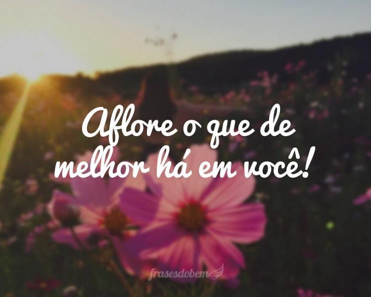 Aflore o que de melhor há em você!