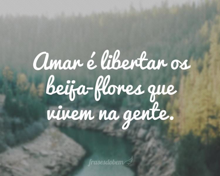 Amar é libertar os beija-flores que vivem na gente.