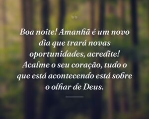 Boa noite! Amanhã é um novo dia que trará novas oportunidades, acredite! Acalme o seu coração, tudo o que está acontecendo está sobre o olhar de Deus.