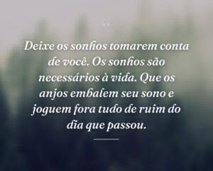 Deixe os sonhos tomarem conta de você. Os sonhos são necessários à vida. Que os anjos embalem seu sono e joguem fora tudo de ruim do dia que passou.