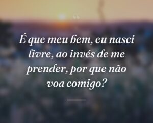 É que meu bem, eu nasci livre, ao invés de me prender, por que não voa comigo?
