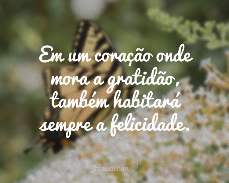 Frases De Gratidão