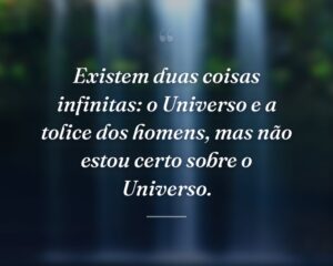 Existem duas coisas infinitas: o Universo e a tolice dos homens, mas não estou certo sobre o Universo.