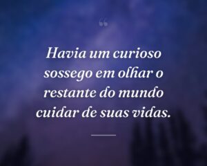 Havia um curioso sossego em olhar o restante do mundo cuidar de suas vidas.