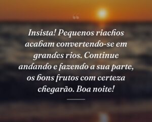Insista! Pequenos riachos acabam convertendo-se em grandes rios. Continue andando e fazendo a sua parte, os bons frutos com certeza chegarão. Boa noite!