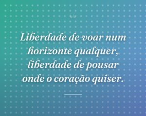 Liberdade de voar num horizonte qualquer, liberdade de pousar onde o coração quiser.