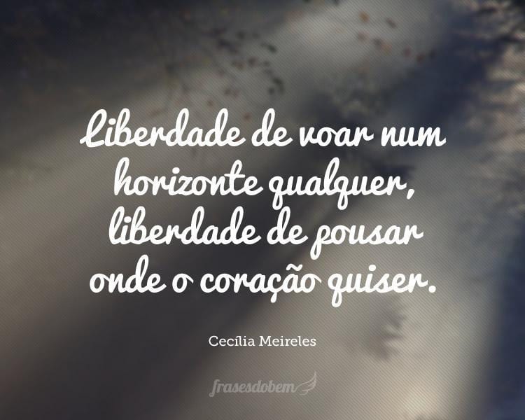 Liberdade de voar num horizonte qualquer, liberdade de pousar onde o coração quiser.