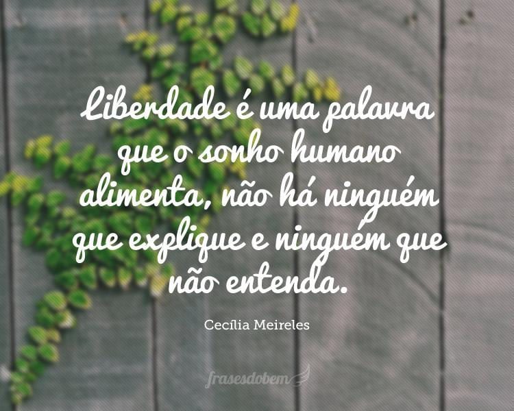 Liberdade é uma palavra que o sonho humano alimenta, não há ninguém que explique e ninguém que não entenda.