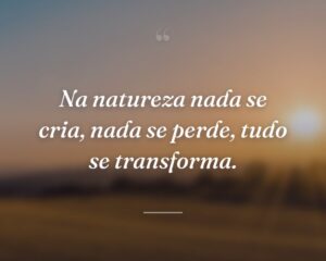 Na natureza nada se cria, nada se perde, tudo se transforma.