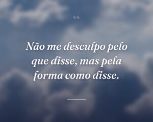 Não me desculpo pelo que disse, mas pela forma como disse.