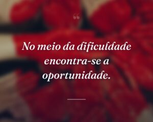 No meio da dificuldade encontra-se a oportunidade.