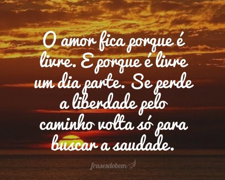 O amor fica porque é livre. E porque é livre um dia parte. Se perde a liberdade pelo caminho volta só para buscar a saudade.