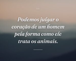 Podemos julgar o coração de um homem pela forma como ele trata os animais.