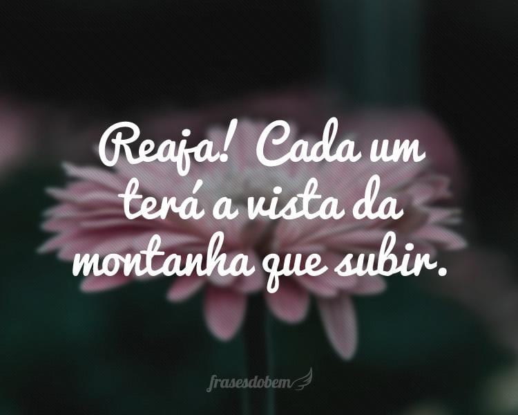 Reaja! Cada um terá a vista da montanha que subir.
