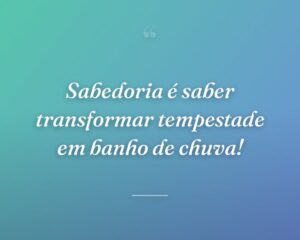 Sabedoria é saber transformar tempestade em banho de chuva!