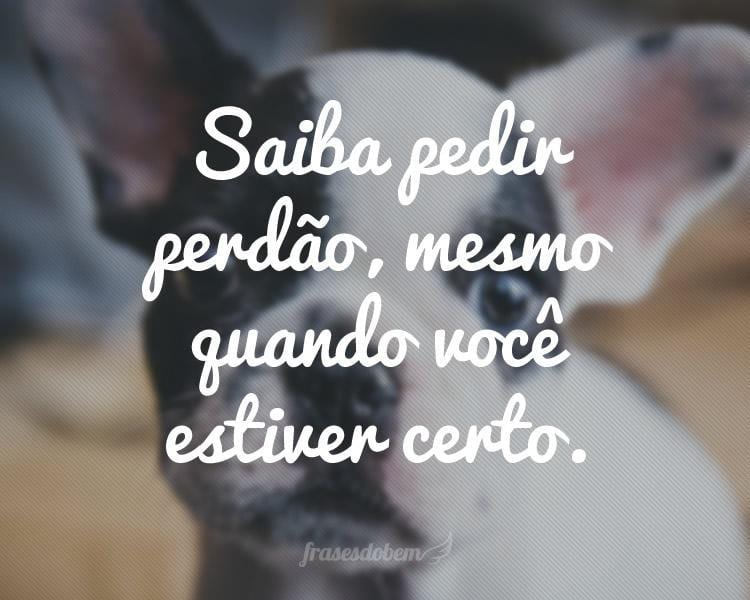 Saiba pedir perdão, mesmo quando você estiver certo.