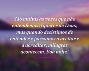 São muitas as vezes que não entendemos o querer de Deus, mas quando desistimos de entender e passamos a aceitar e a acreditar, milagres acontecem. Boa noite!