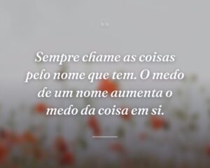 Sempre chame as coisas pelo nome que tem. O medo de um nome aumenta o medo da coisa em si.