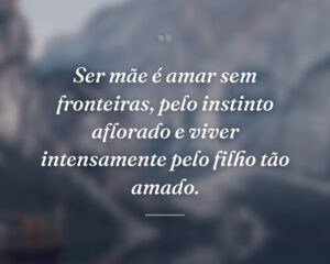 Ser mãe é amar sem fronteiras, pelo instinto aflorado e viver intensamente pelo filho tão amado.