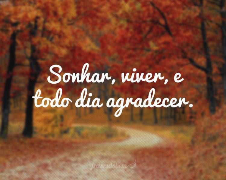Frases De Gratidão