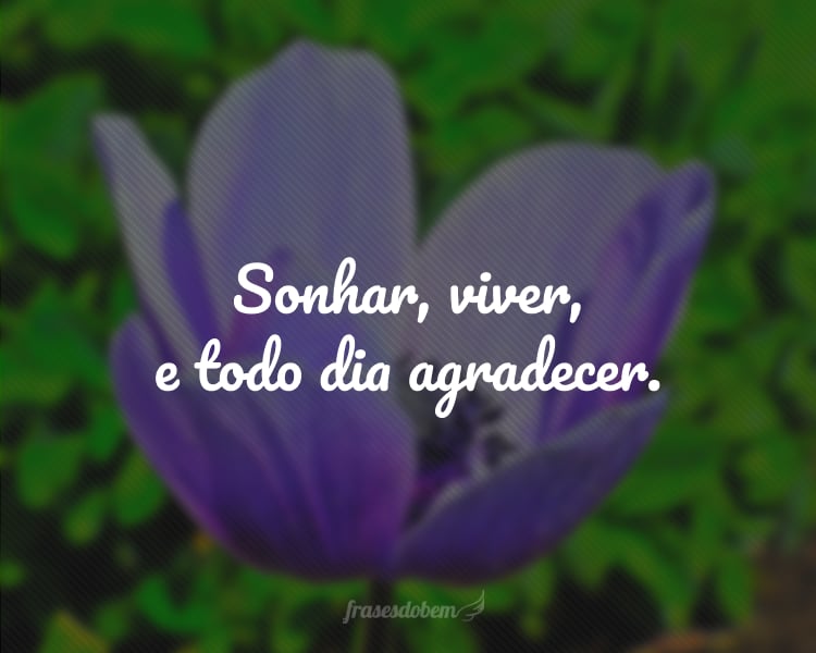 Sonhar, viver, e todo dia agradecer.