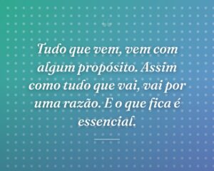 Tudo que vem, vem com algum propósito. Assim como tudo que vai, vai por uma razão. E o que fica é essencial.