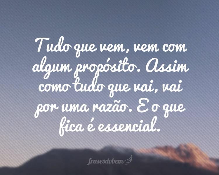 Tudo que vem, vem com algum propósito. Assim como tudo que vai, vai por uma razão. E o que fica é essencial.
