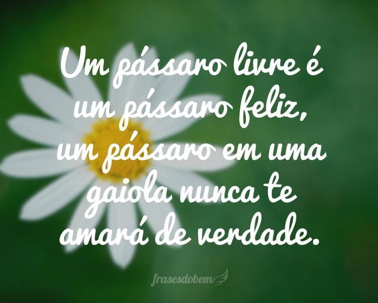 Um pássaro livre é um pássaro feliz, um pássaro em uma gaiola nunca te amará de verdade.