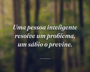 Uma pessoa inteligente resolve um problema, um sábio o previne.