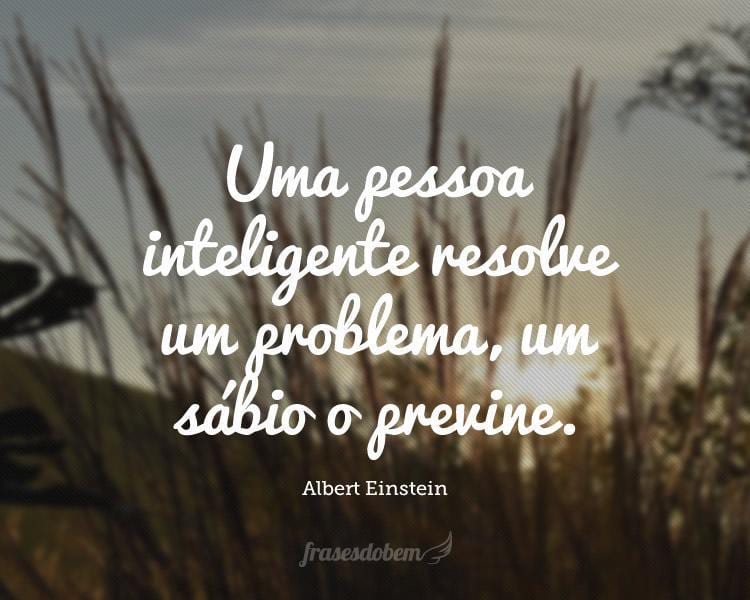 Uma pessoa inteligente resolve um problema, um sábio o previne.