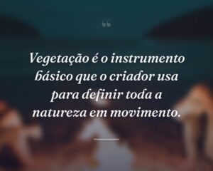 Vegetação é o instrumento básico que o criador usa para definir toda a natureza em movimento.