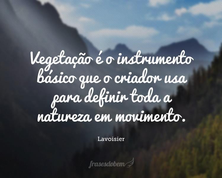 Vegetação é o instrumento básico que o criador usa para definir toda a natureza em movimento.