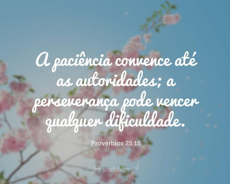 A paciência convence até as autoridades; a perseverança pode vencer qualquer dificuldade. Provérbios 25:15