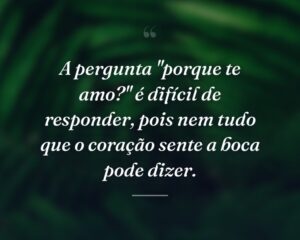 A pergunta "porque te amo?" é difícil de responder, pois nem tudo que o coração sente a boca pode dizer.
