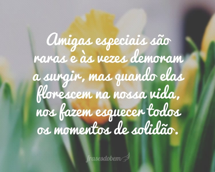 Amigas especiais são raras e às vezes demoram a surgir, mas quando elas florescem na nossa vida, nos fazem esquecer todos os momentos de solidão.