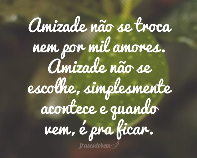 Amizade não se troca nem por mil amores. Amizade não se escolhe, simplesmente acontece e quando vem, é pra ficar.