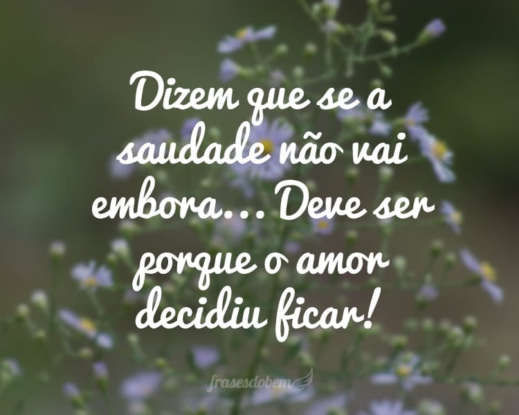 Dizem que se a saudade não vai embora... Deve ser porque o amor decidiu ficar!