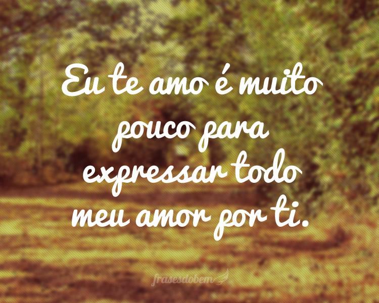 Eu te amo é muito pouco para expressar todo meu amor por ti.